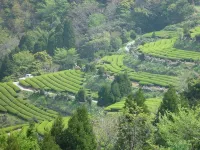 APA Hotel Miyazaki Nobeoka Ekimae Hotels in Nobeoka