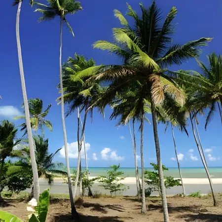 Praiagogi Boutique Pousada