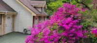 Wonju Sarichi Land in Forest Pension