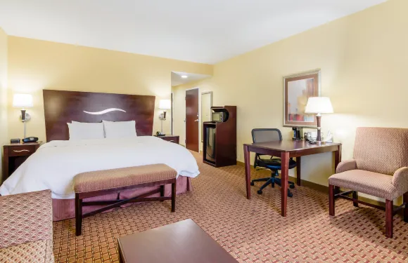 希爾頓歡朋酒店-蓋拉克斯