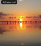 1st Floor Condo,  updated one bedroom condo Sleeps 4. The Avalon at Clearwater.