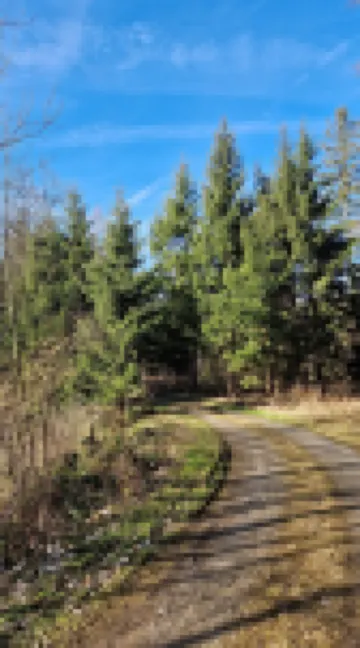 Jenny's Wohlfühloase im Allgäu auf 90qm