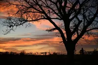 RURAL LUXURY ROOM WITH WETROOM and self catering facility Hotels in Rugeley