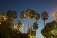 Unique!!! Villa on Croisette with seaside garden (Port Canto)