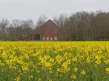 Apartment "Dat Nüst", terrace, garden, mod. bath