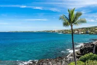 Super Clean~Ocean Front! Watch Whales & Dolphins While Having Your Coffee
