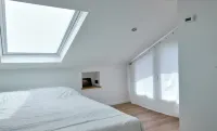 Studio d'artista