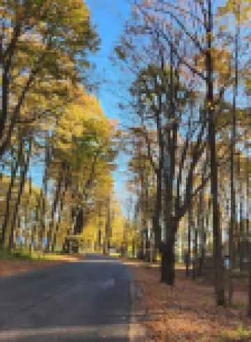 Adirondack Cabin Retreat On West Branch of the Oswegatchie River!
