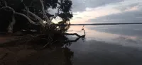 Brian's River escape