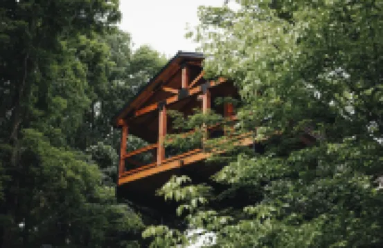 Luxury Treehouse Cabin over Salt Creek - Cabin 1