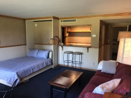 Awesome Location at Otsego Resort! Ski in, Ski Out! Just Renovated and Updated!