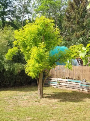Gîte Alsace Maison Avec Jardin Proche Strasbourg Hotels in Mutzig