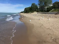 Collect Moments Not Things