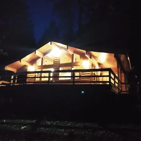 Cozy and comfortable wooded cabin