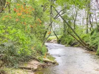 Farmhouse at Honey Bear Orchard Các khách sạn ở Edneyville