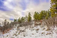 Enjoy Peace & Wildlife- Stunning Log Home w/ Mountain Views!  Pagosa Springs, Co