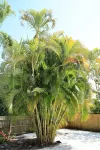 Beach is Only One a Minute Drive. Nicely Remodeled Condo.