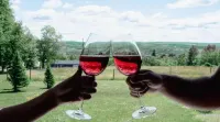 Luxury on Seneca Wine Trail, 3 King Beds with Awesome Country View