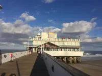 Stunning direct oceanfront views from your own balcony!