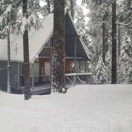 Hideaway in the Trees