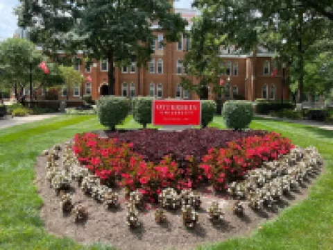 Updated Craftsman home, quiet setting, porch swing overlooking Old Town Park.