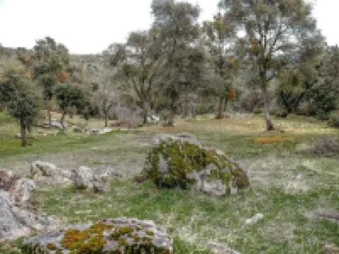 Yosemite's Natures Tranquility Cottage