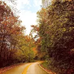4 Bedroom home less than a mile to Hatfield/McCoy trails