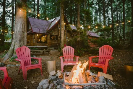 Wild Lily Cabin Retreat