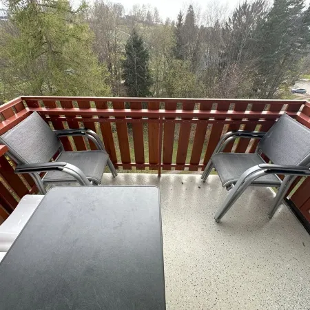 FeWo Hirschsprung - Cozy 2 room apartment in the vacation resort at Schluchsee (pool)