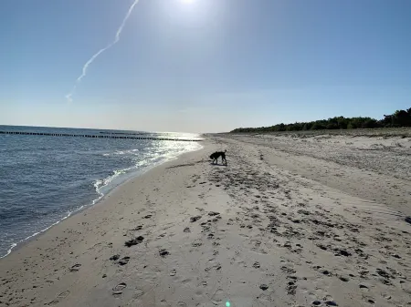 Apartment with a sophisticated atmosphere behind the dike directly on the beach