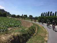 Luxury Tuscany Villa with Private Pool, 13 Sleeps. Lucca 10 km.