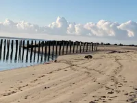 Maison de Caractère à Deux pas de la Plage et du Centre Hotels in Berck