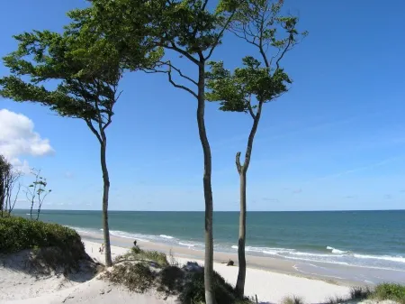 Apartment on the Baltic Sea - secluded location on the edge of the forest Отели в г. Нордфорпоммерн