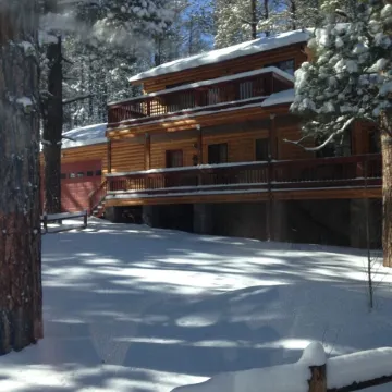 FAMILY SIZE CABIN IN THE PINES
