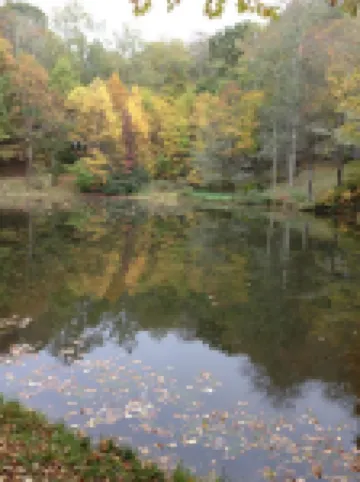 Spacious,Friendly,Warm and Cozy 5 Bedroom 3 Bath Family Home