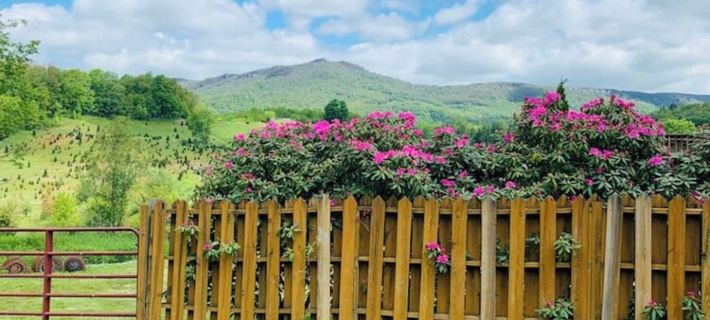 Cozy 2-bedroom condo in charming Beech Mountain with ski slope & mountain views! Hotels in Beech Mountain