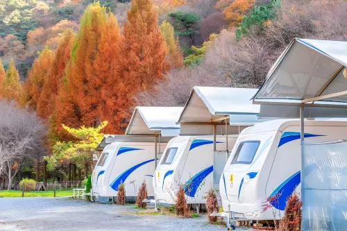 Daejeon Dreaming Farmer Camping Site - spa