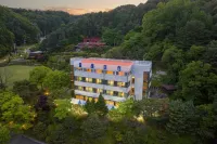 Gapyeong Play Pension