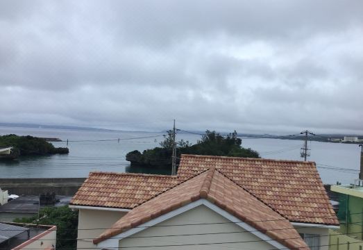 5. 미스터 긴조 인..