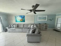 Dolphin & Manatee At Your Back Door!!