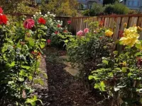 Resort-Style in Wine Country Btw Napa & San Francisco 발레이오 호텔