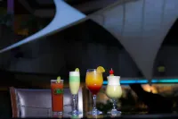 Hotel Real del Sur - bar