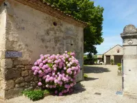 Au Bonheur d'Alphonse Hotels in Aiguillon