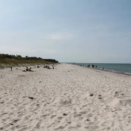 Geräumige Wohnung Mit Garten in Zingst