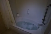 روزيدال إن