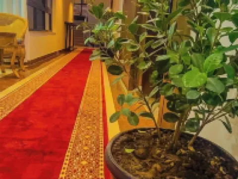 Central Hawassa Hotel Hotels in Sidama