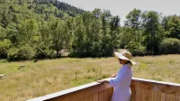 Le Volcans des Sens - Guest houses