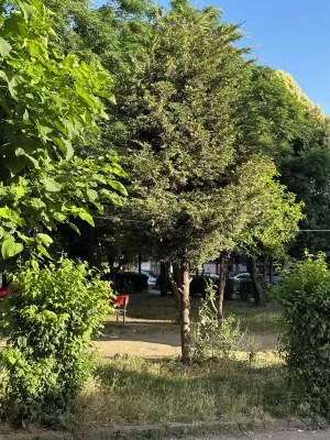 NÓS Luxury Rooms Hotels in 