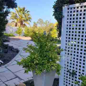 Room-The Annex Roosboom Luxury Studio - Hotel Exterior