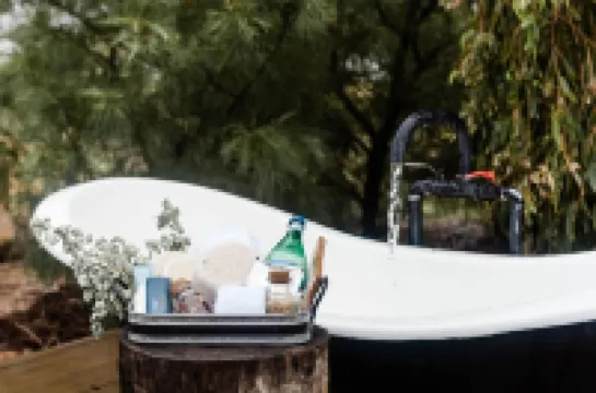 ซอลท์บุชรีทรีท